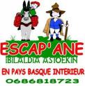 logo Escap' Ane En Pays Basque Interieur