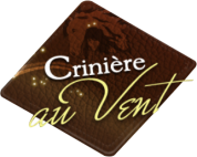 logo Crinière Au Vent