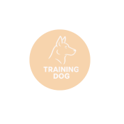 LOGO Training Dog
